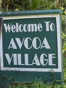 Avocat Waterfall Tour, Trinidad: Hike, Swim & Maracas Bay 3