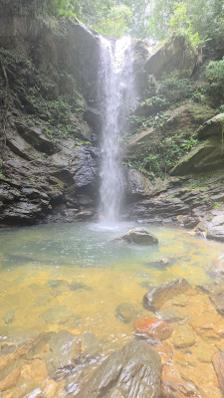 Avocat Waterfall Tour, Trinidad: Hike, Swim & Maracas Bay 7