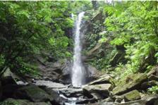 Avocat Waterfall Tour, Trinidad: Hike, Swim & Maracas Bay 1