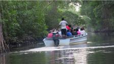 Caroni Bird Sanctuary Tour: Sunset Boat Cruise 11