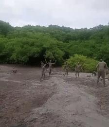 Mud Volcano Adventure Tour — Explore Trinidad’s Natural Wonder 6
