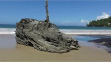 Las Cuevas Beach Tour: Pickup, Lookout Photos & Local Flavors 5