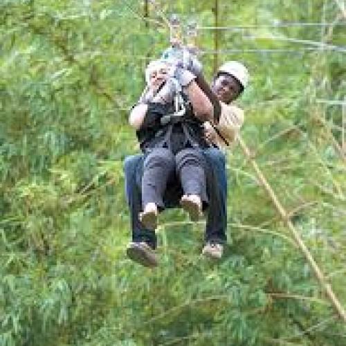 Zipline Trinidad: 7 Lines & Canopy Walks, Chaguaramas