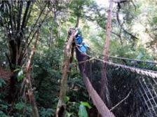Zipline Trinidad: 7 Lines & Canopy Walks, Chaguaramas 2