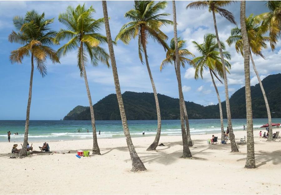 Maracas Beach Tour: Scenic Drive & Beach Time in Trinidad