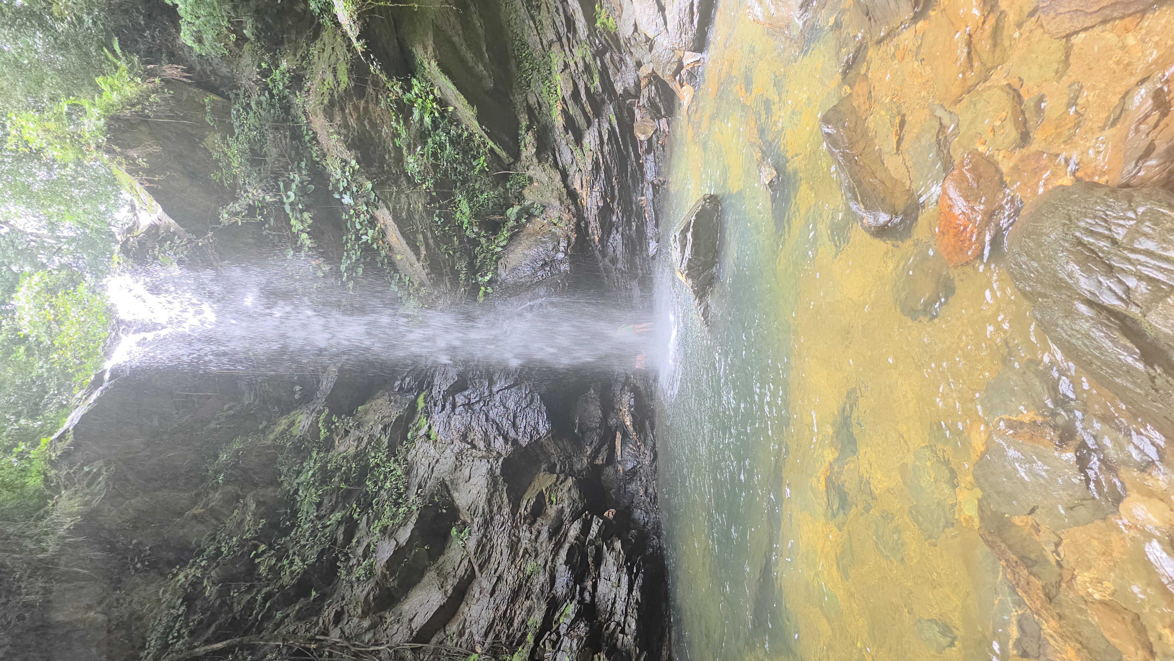 Avocat Waterfall Tour, Trinidad: Hike, Swim & Maracas Bay 7