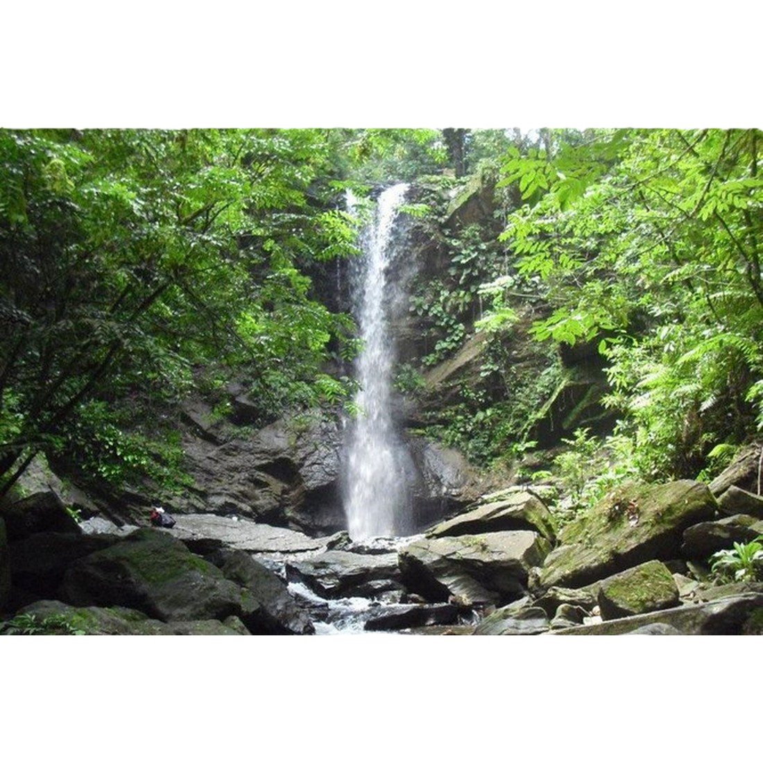 Los ExploradoresTT – Trinidad & Tobago Tours