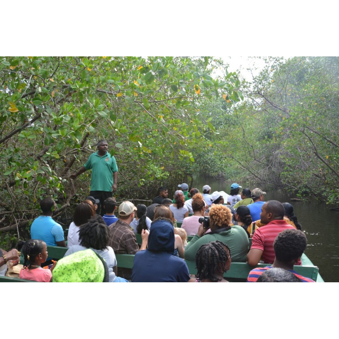 Caroni Bird Sanctuary Tour: Sunset Boat Cruise 7