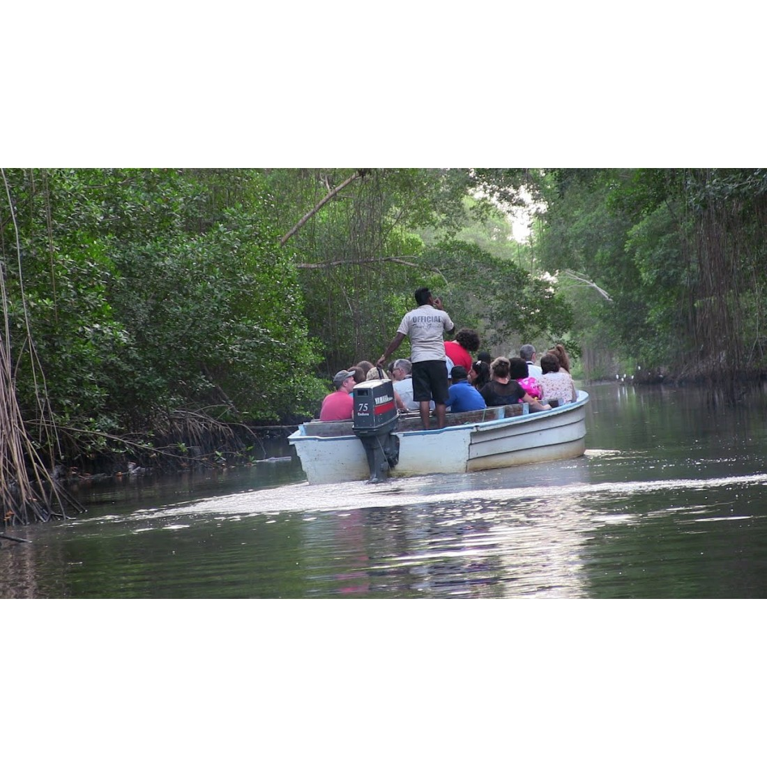Caroni Bird Sanctuary Tour: Sunset Boat Cruise 11