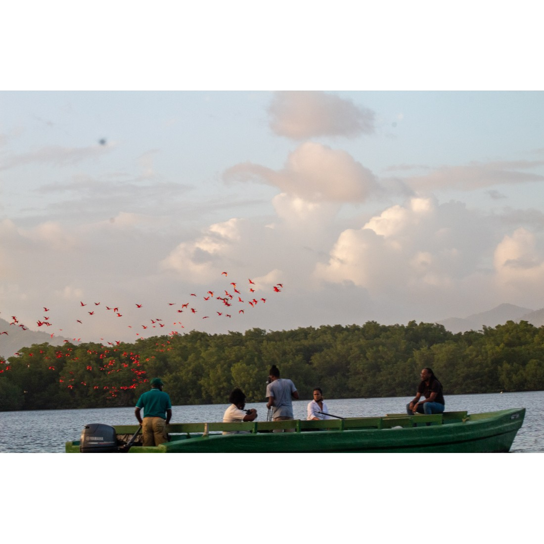 Caroni Bird Sanctuary Tour: Sunset Boat Cruise 6