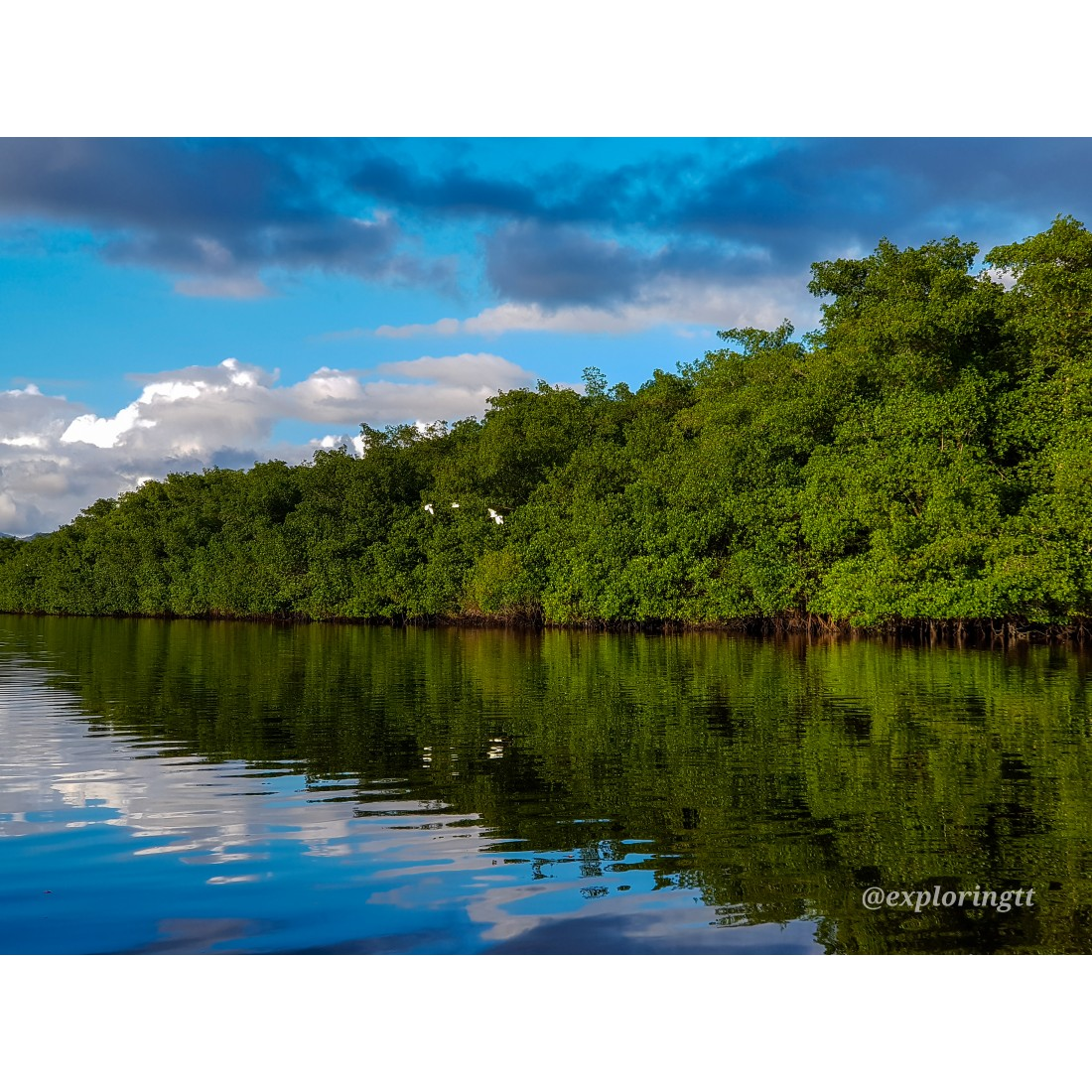 Kayak Adventure in the Second Largest Swamp of Trinidad and Tobago 4