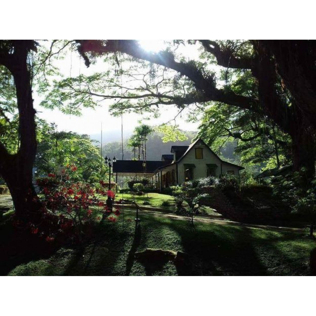 Lopinot Tour in Trinidad: Cocoa Estate, Chocolate Demo