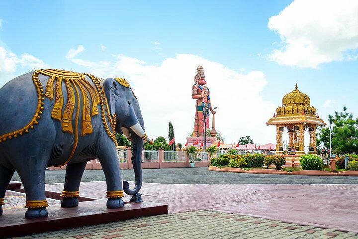 Mini Island Tour of Trinidad — Markets, Temples & Culture 4