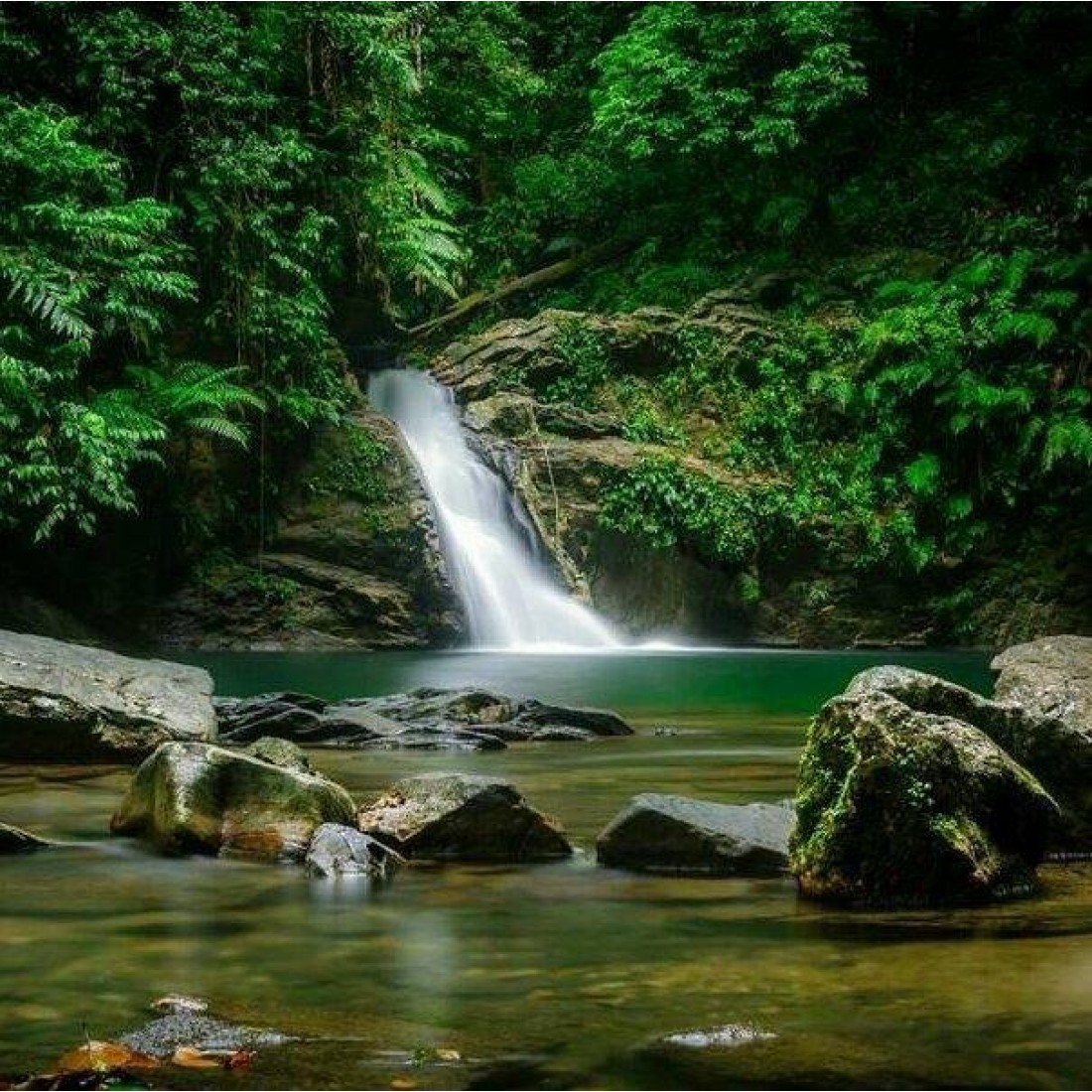 Rio Seco Waterfall Tour — Easy 1‑hr Hike & Swim, Trinidad 2