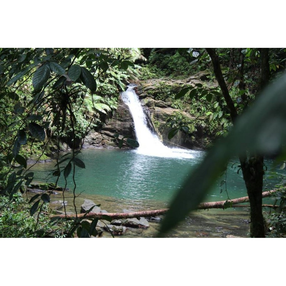 Rio Seco Waterfall Tour — Easy 1‑hr Hike & Swim, Trinidad 3