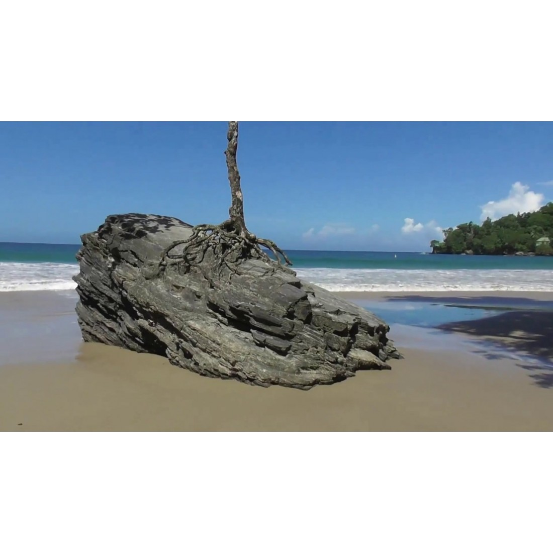 Las Cuevas Beach Tour: Pickup, Lookout Photos & Local Flavors 5