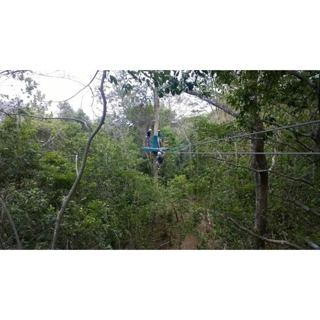Zipline Trinidad: 7 Lines & Canopy Walks, Chaguaramas 3