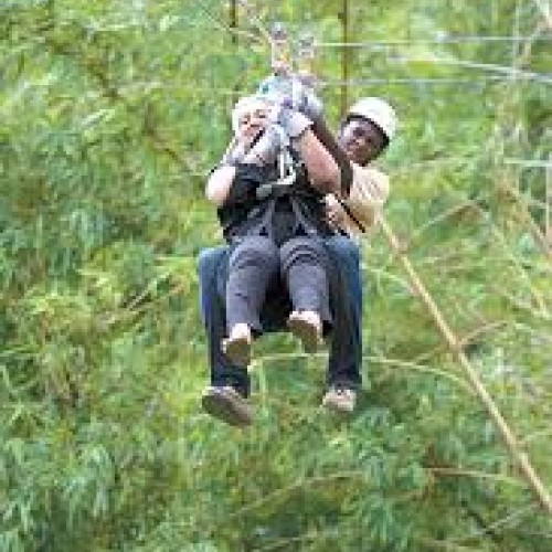 Zipline Trinidad: 7 Lines & Canopy Walks, Chaguaramas